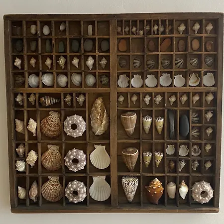 Les Volets Bleus Hébergement de vacances Brie-sous-Mortagne