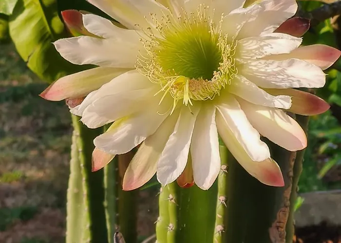 Сasa de vacaciones Les Volets Bleus Brie-sous-Mortagne