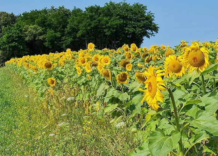 Сasa de vacaciones Les Volets Bleus *