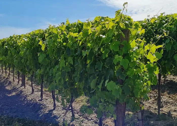 Сasa de vacaciones Les Volets Bleus *