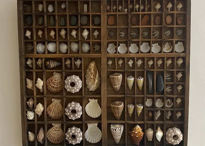 Les Volets Bleus Сasa de vacaciones Brie-sous-Mortagne